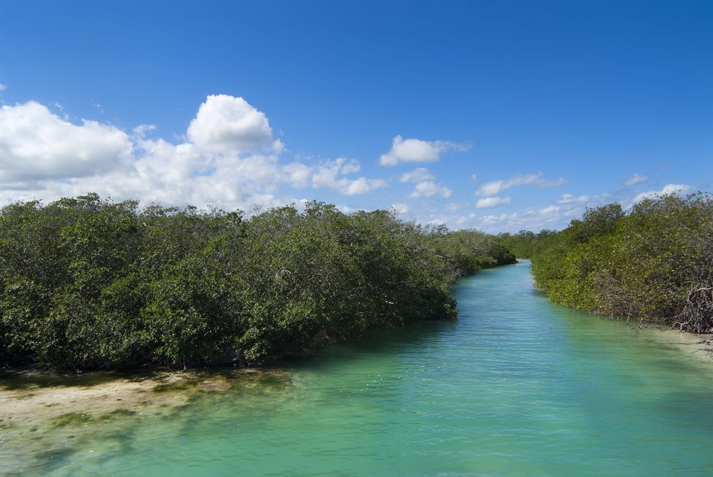 La réserve de Sian Ka'an dans la péninsule du Yucatan